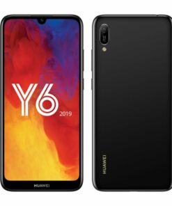 Y6 2019