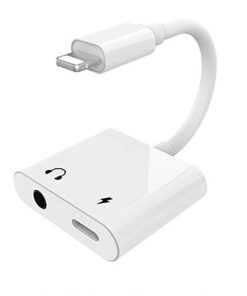 double adaptateur iPhone